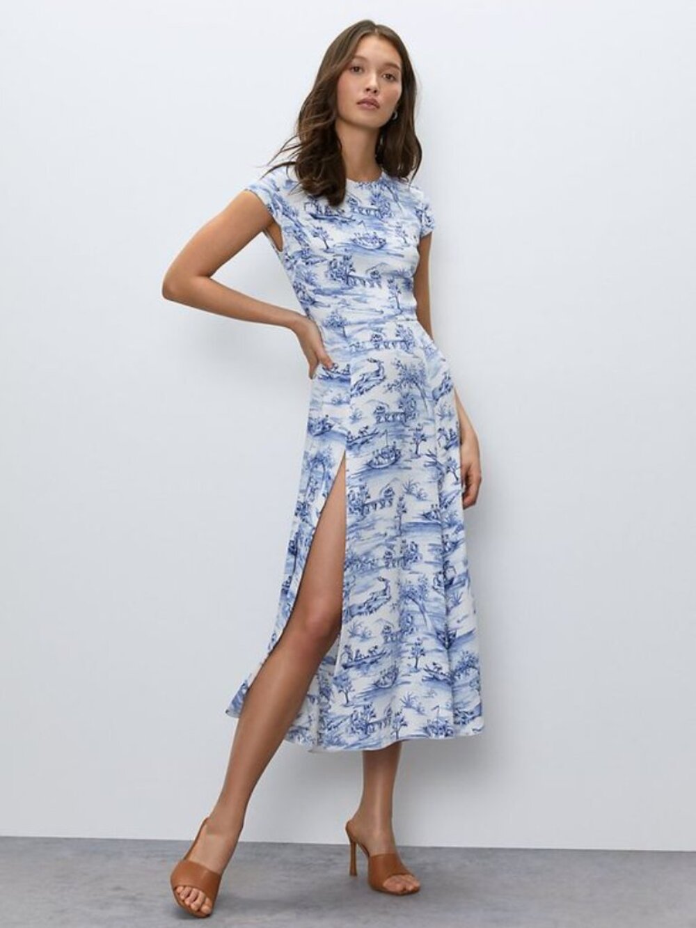 Aritzia Babaton Hamptons Dress in Toile de Jouy Print